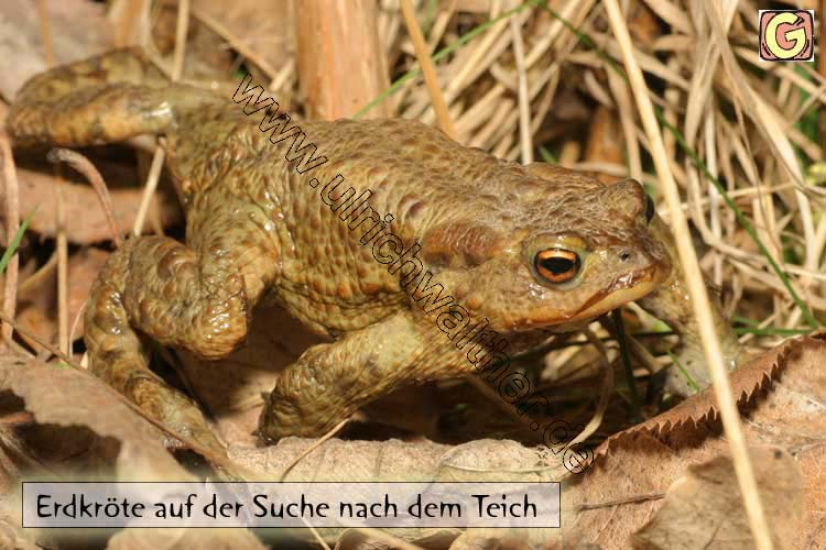 192_9254-auf-der-suche.jpg
