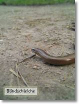 130-3005_IMG.JPG