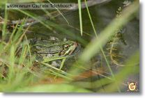 200_0076-B.jpg