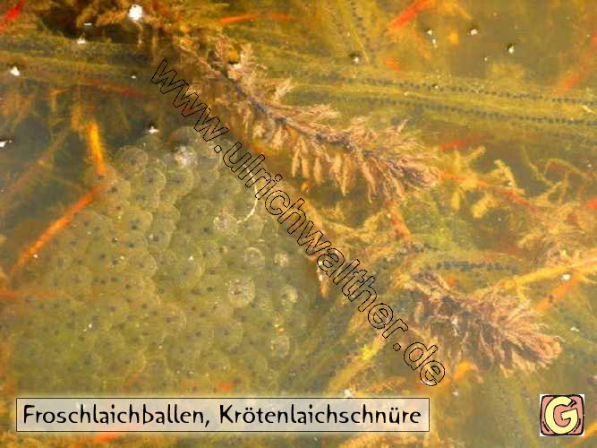 k4.jpg